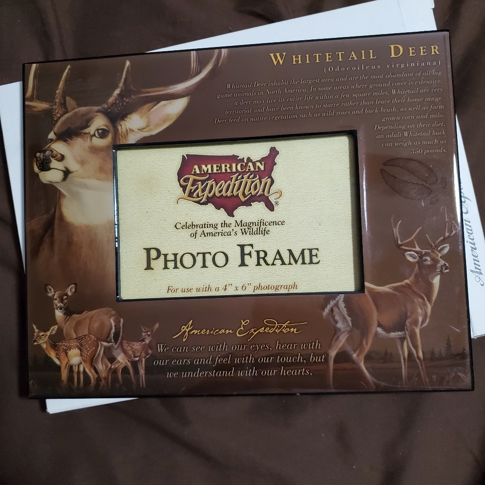 Picture Frame - Picture 1 of 2